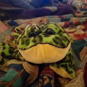 Webkinz Bullfrog